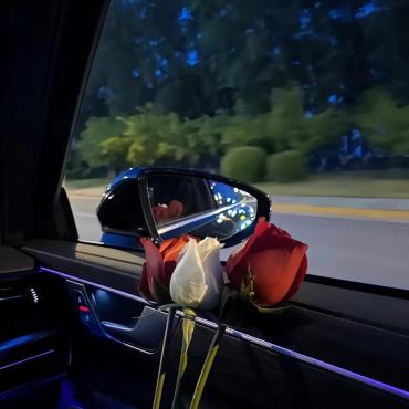 【转载】兰空图床LskyV2如何通过API获取Token？-星泽V社