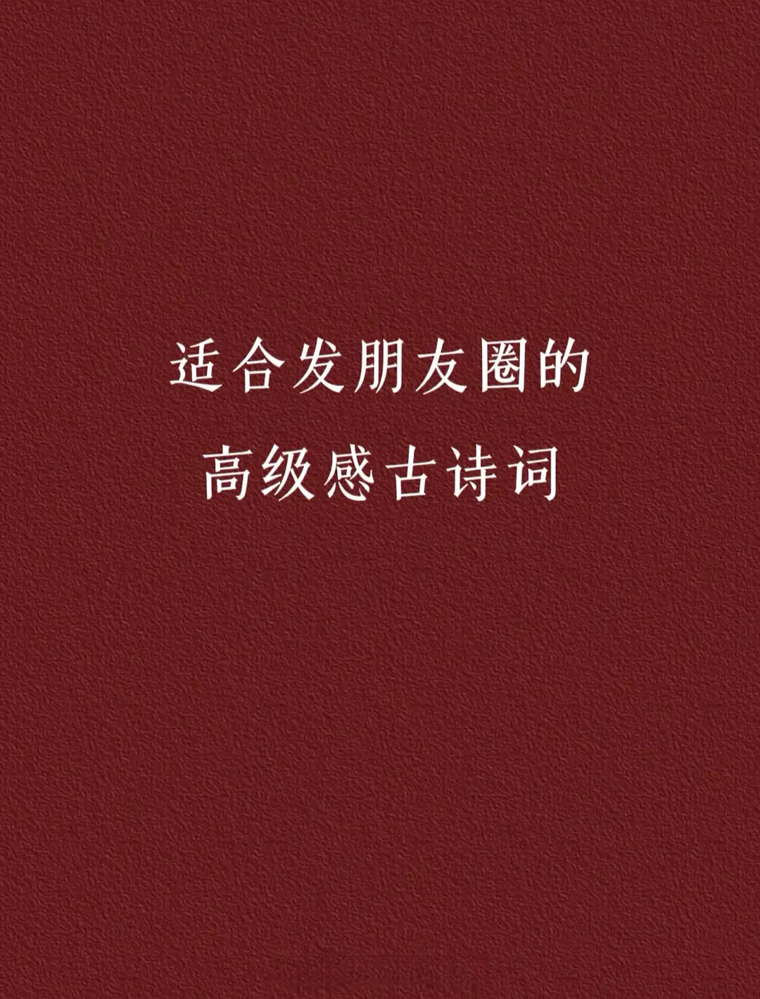 IMG_1677.WEBP