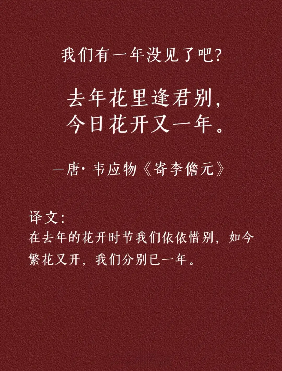 IMG_1682.WEBP